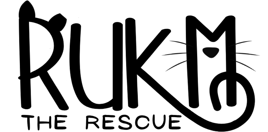 R U Kitten Me - The Rescue